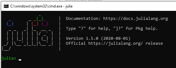 Julia Terminal window