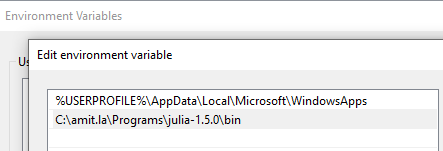 Windows environment variable
